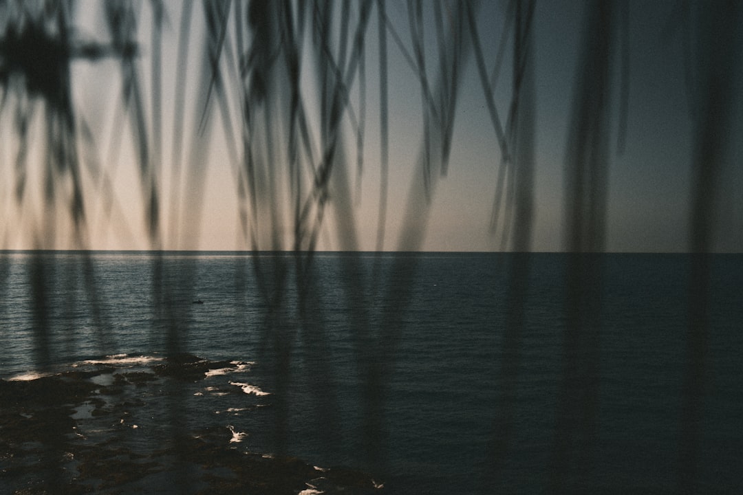 A view of a body of water from a boat