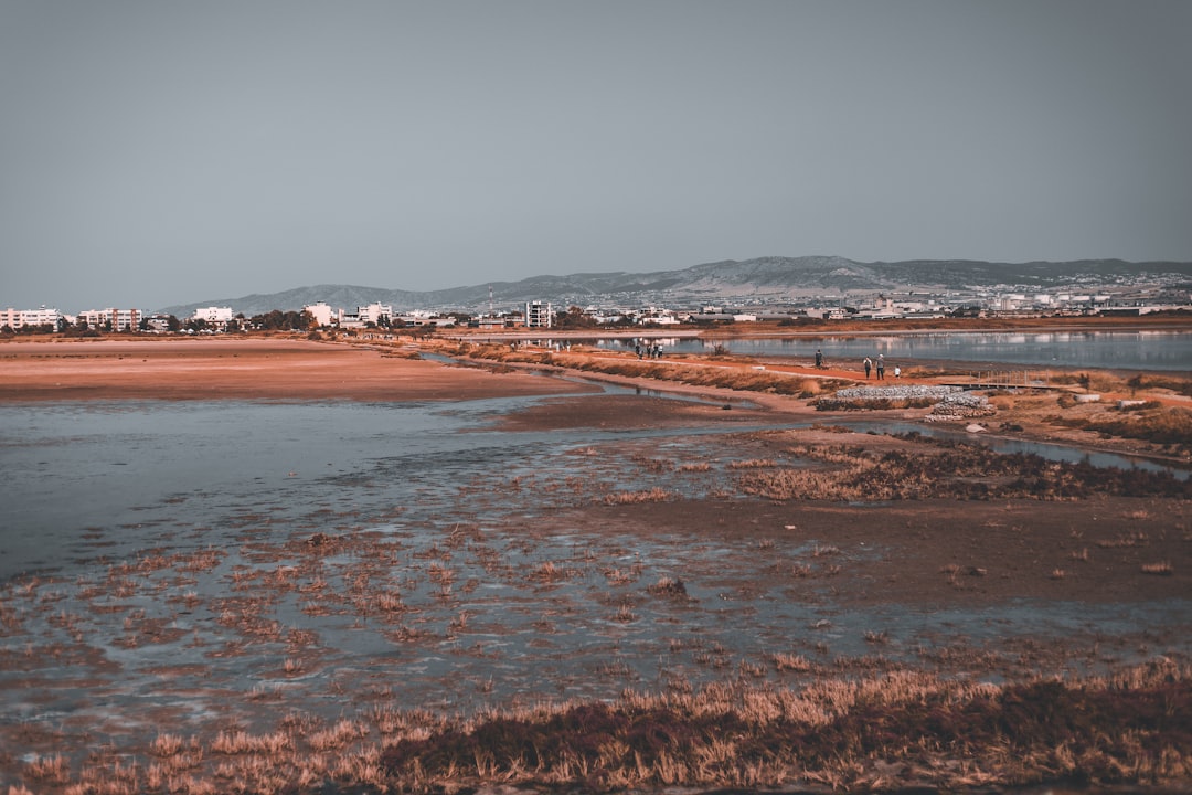 a body of water with a city in the background