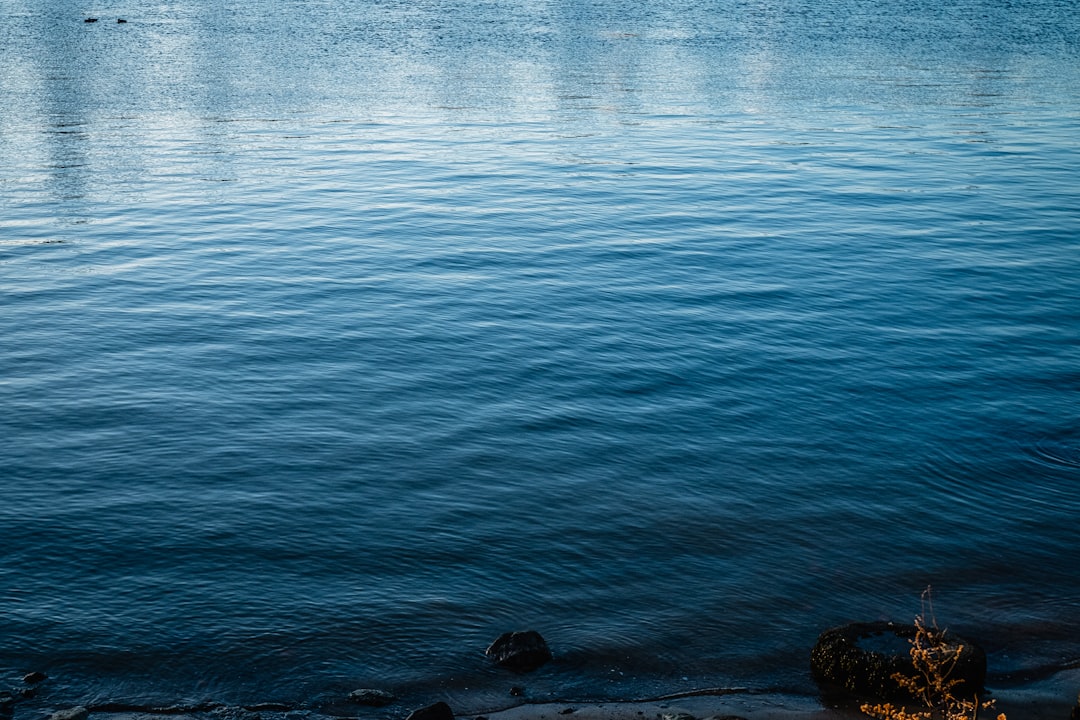 a body of water with a boat in the distance