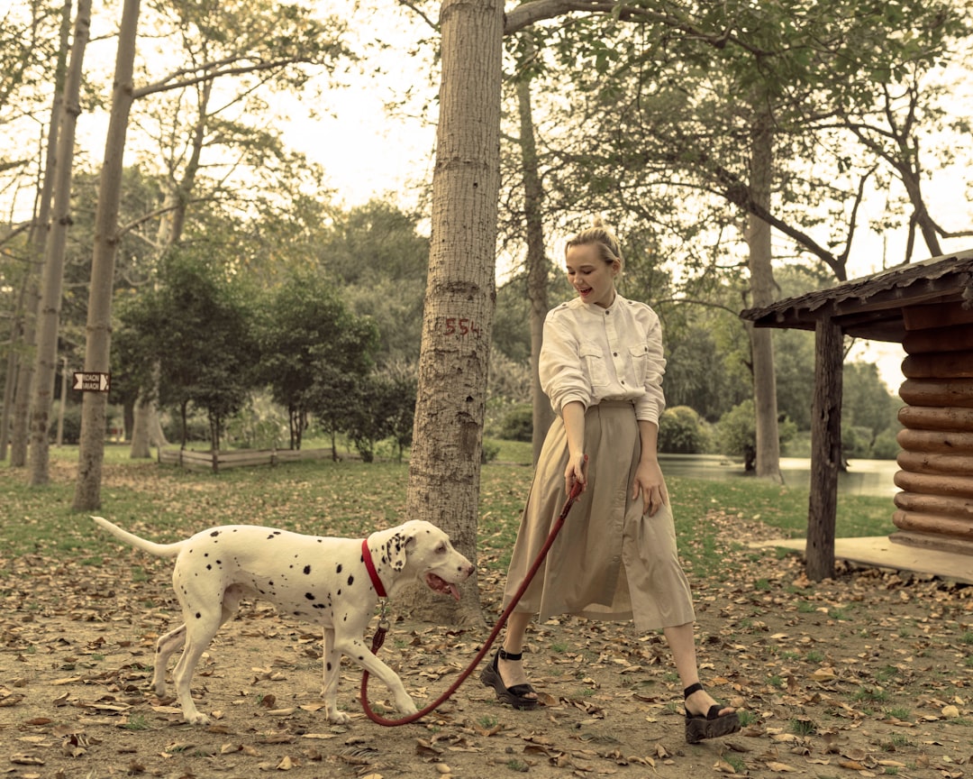 A woman walking a dog on a leash
