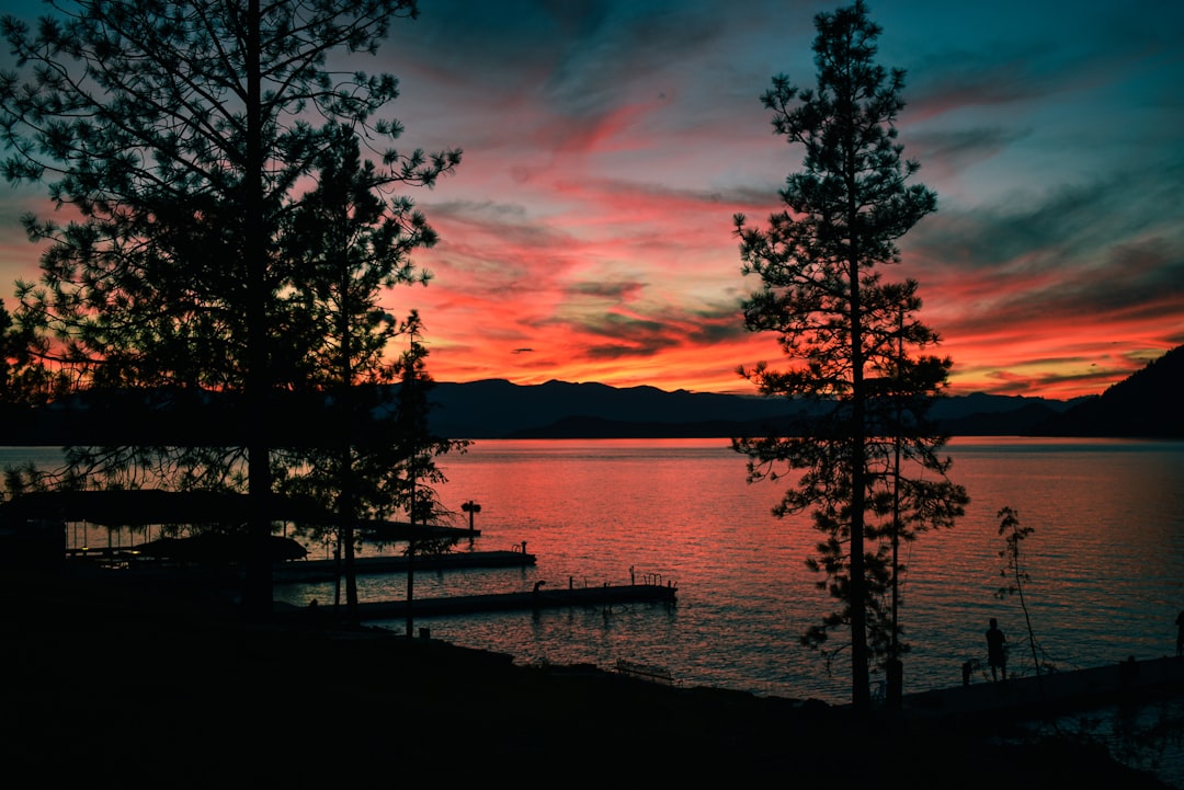 a sunset over a body of water with trees in the foreground